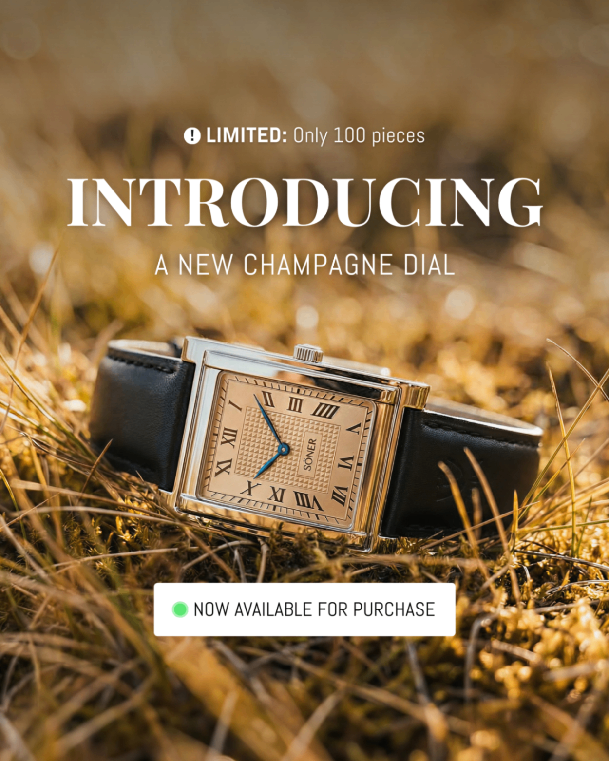 Luxury watch launch creative with champagne dial hero shot