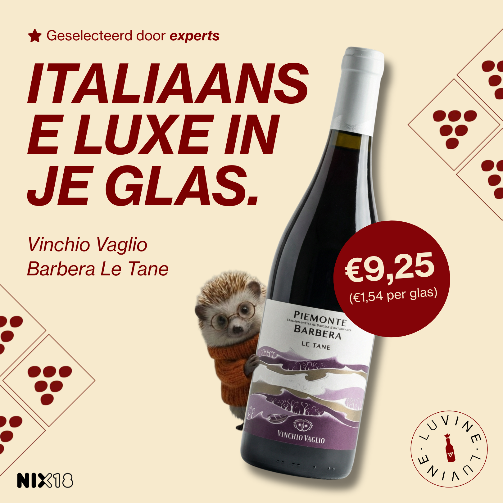 Luvine Italian Barbera Le Tane wine creative with hedgehog mascot